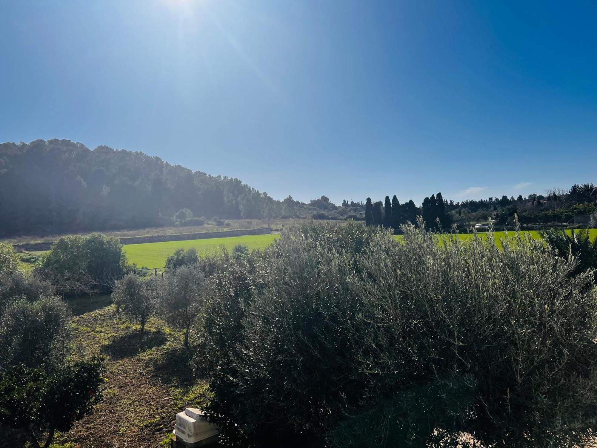 Villa Es Puig à Santa Margalida Extérieur photo